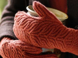 Жителей Луганска просят поделиться теплой одеждой с бездомными