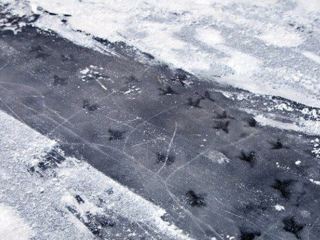 Как обезопасить себя от зимних травм  Советы луганского врача