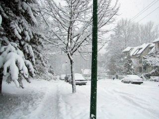 Погода в Луганске на  декабря С
