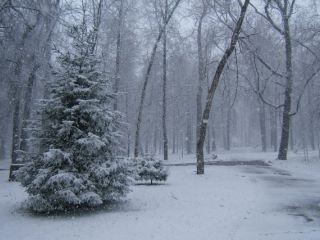 Погода в Луганске снег
