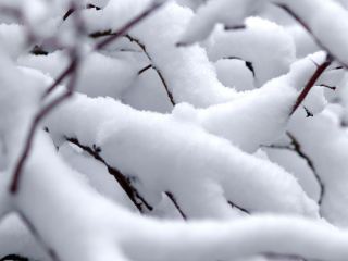 Снежный покров высотой 30 см накрыл Луганск