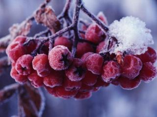 Погода в Луганске на  декабря холода отступают