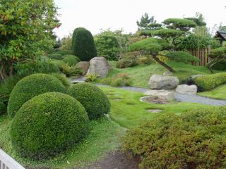 На озеленение Луганска потратили  млн грн