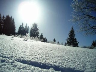 Погода в Луганске С