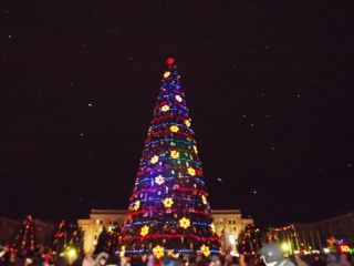 В Луганске открылась главная городская елка (фото) 