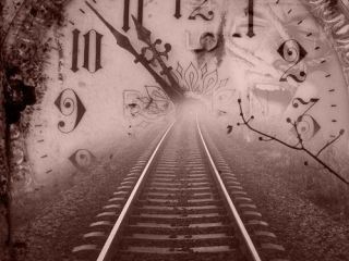 Cxid.info 10 лет: 2011 г. - В Луганске задержали «елочных» браконьеров 