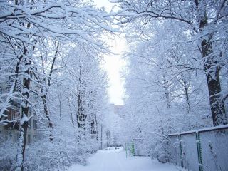 Какой будет погода в Луганске на Новый год