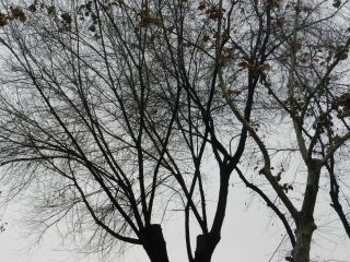 Погода в Луганске на  января пасмурно и около нуля