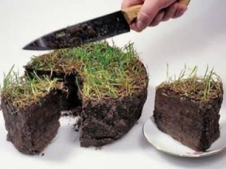 В Новоайдарском районе провернули крупную земельную аферу