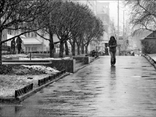 Погода в Луганске на  января дождь