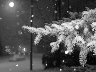 Луганщину будет заметать снегом еще  дня