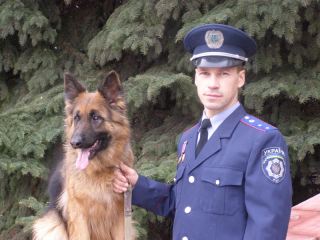 В Луганской области овчарка Дартли помогла поймать угонщика фото