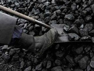 На Луганщине за копанки привлекли к суду  человек