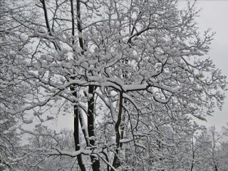 Погода в Луганске С