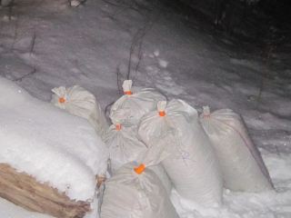 Контрабанду орехов и спирта задержали луганские пограничники фото