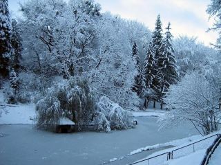 Погода в Луганске на  января С