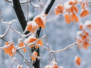 Погода в Луганске С