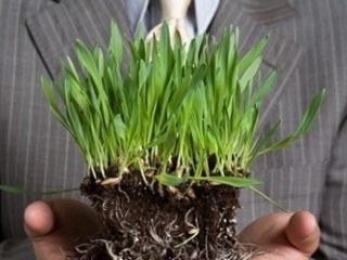 Местные бюджеты Луганщины получили более  млн грн земельного налога