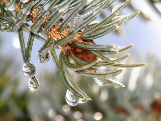 Погода в Луганске на  января потепление