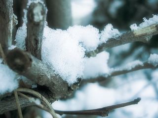 Погода в Луганске на  января С
