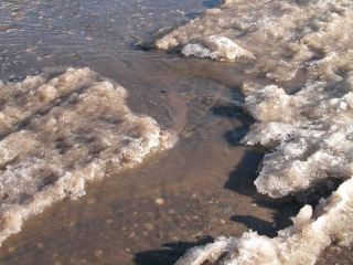 Погода в Луганске: +2°С