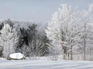 В конце января на Луганщину вернутся холода
