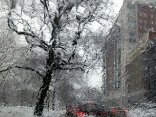 Погода в Луганске на  января дождь