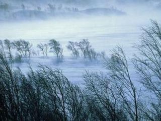 Луганскую область накроют метели