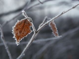 Погода в Луганске С