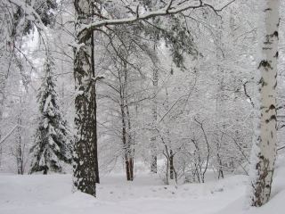 Погода в Луганске на последний день января небольшой снег