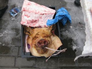 Крестьяне из Беловодского района продали на ярмарке свинью Машку фоторепортаж