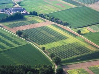 На  гектара государственной земли позарился фермер из Луганской области