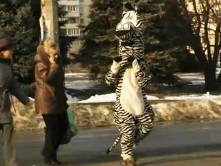 Огромная зебра помогает безопасно переходить дорогу жителям Луганска видео