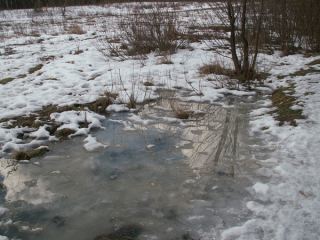 Погода в Луганске на  февраля потепление