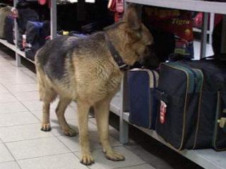 На Луганщине Вагнер помог задержать наркокурьера