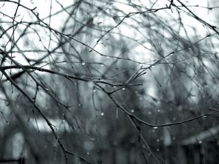 Погода в Луганске на выходные  и  февраля