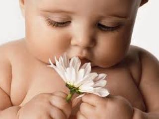 На выходных в Луганске родилось  малышей