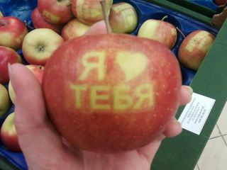 В Луганске появились яблоки для влюбленных фото