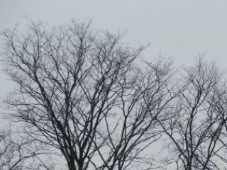 Погода в Луганске на  февраля