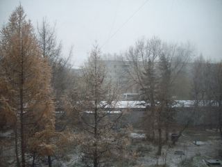 Погода в Луганске на выходные  и  февраля