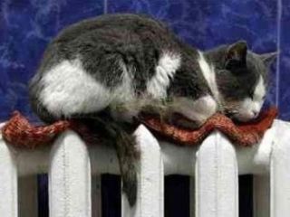 В  квартирах Луганской области установили автономку в кредит