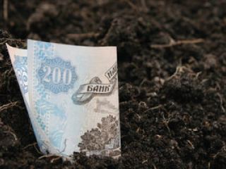 Луганчанам напомнили о последнем сроке сдачи налоговой декларации по плате за землю