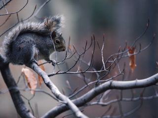 Погода в Луганске на  февраля теплеет