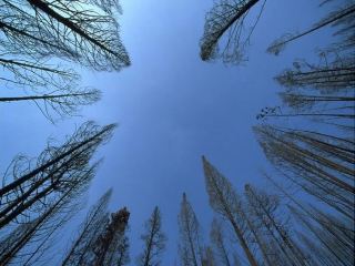 Погода в Луганске солнечно