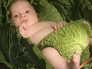 детей родилось вчера в Луганске