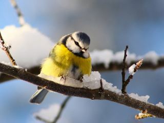 Погода в Луганске на выходные  и  февраля