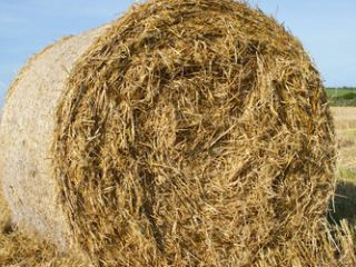 На Луганщине за несколько часов сгорели  тонны соломы