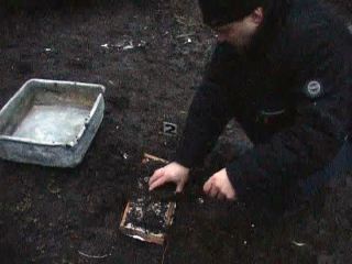 Банду совершившую серию дерзких разбойных нападений обезвредили на Луганщине фото