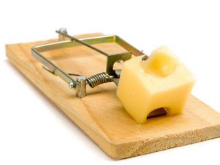 Ищете работу Осторожно  платные номера