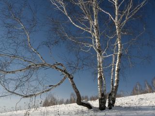Погода в Луганске С